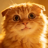 李*婷